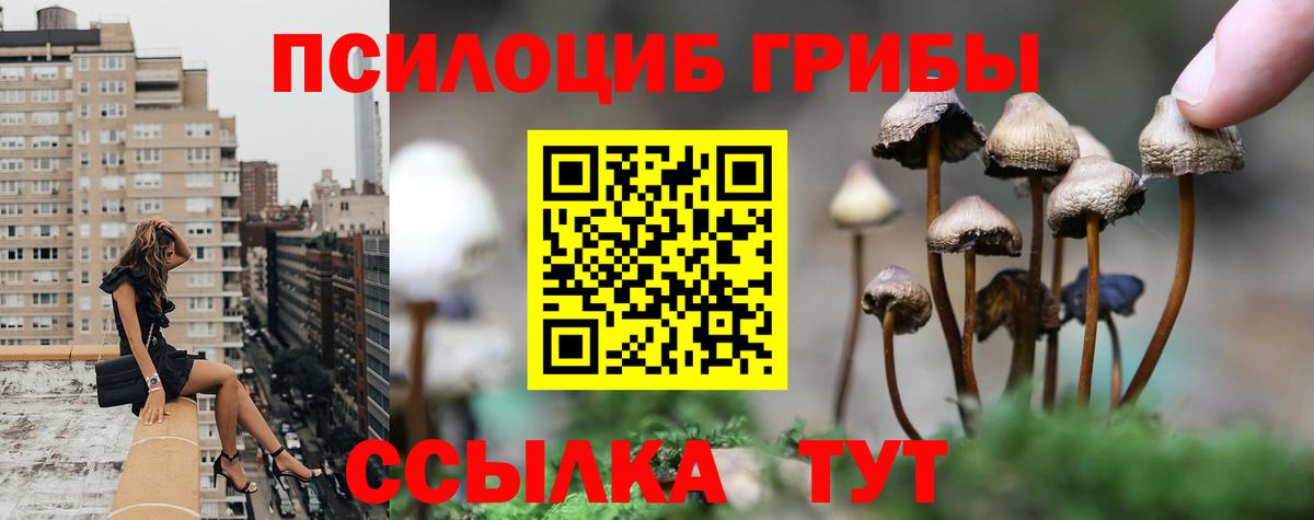 Реутов  где купить наркоту  Вход с VPN  Галлюциногенные грибы Psilocybe 